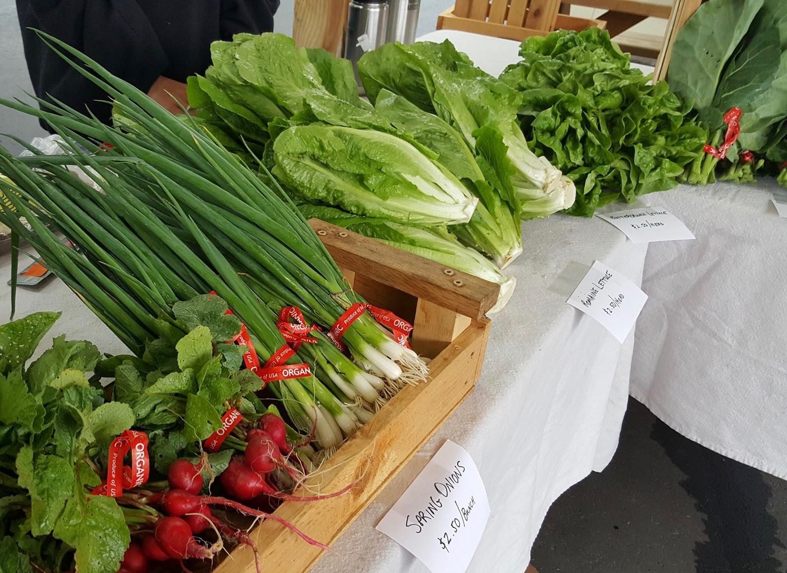 Elkin Farmer’s Market Blue Ridge Music Trails