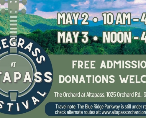 Bluegrass at Altapass Festival