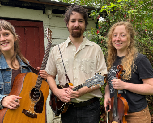 A guitarist, mandolin player, and fiddler stand side by side smiling.