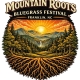 Mountain Roots Bluegrass Festival